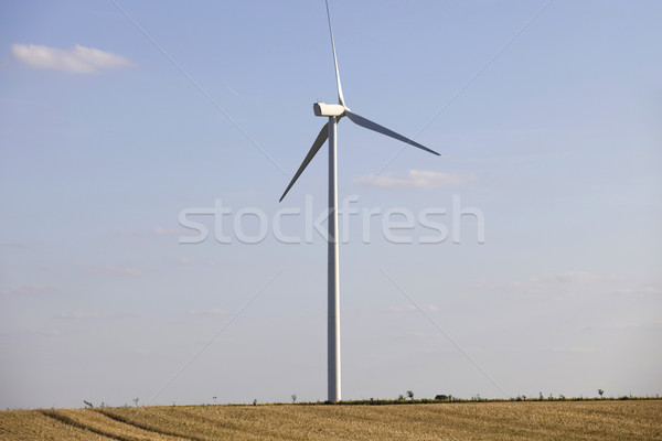 windturbine Stock photo © zittto