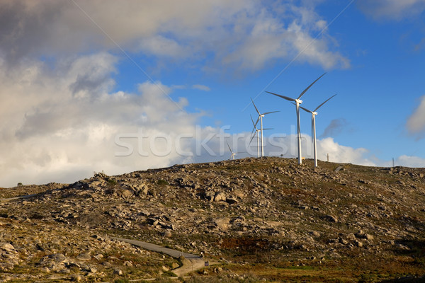 Weiß top Berg Natur grünen Stock foto © zittto