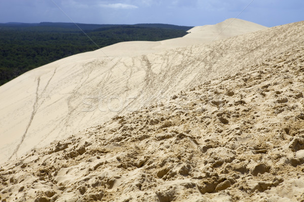 Dune célèbre dune de sable Europe plage ciel [[stock_photo]] © zittto