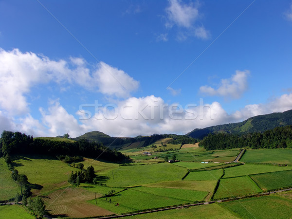 Foto d'archivio: Campi · nubi · estate · campo · spazio · verde