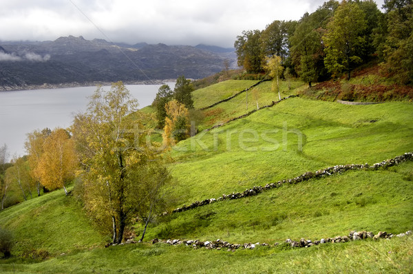 loch Stock photo © zittto