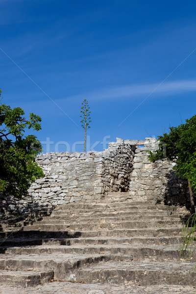 Antigua ciudad ruinas edificio pared tropicales Foto stock © zittto