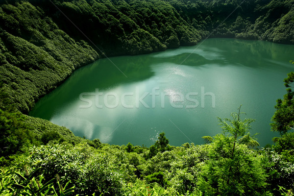 lake Stock photo © zittto