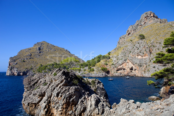 Stock photo: mallorca