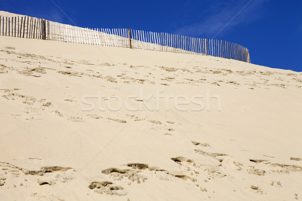 Célèbre dune dune de sable Europe plage ciel [[stock_photo]] © zittto