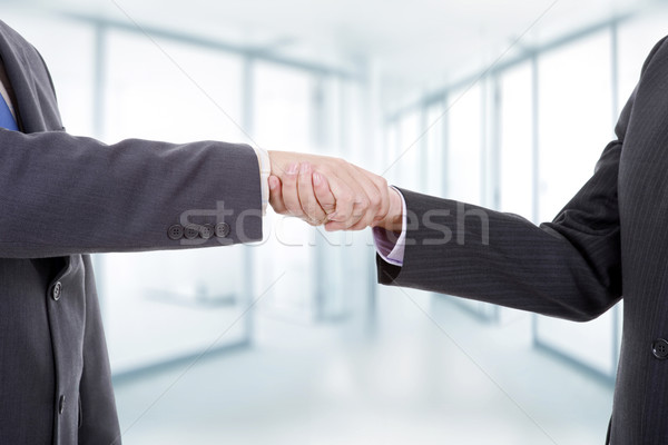 handshake Stock photo © zittto