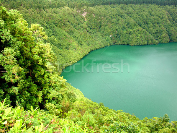 lake Stock photo © zittto