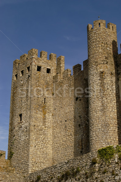 castle Stock photo © zittto