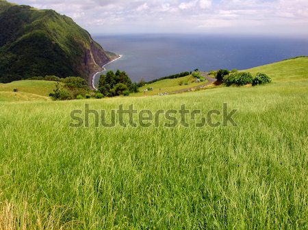 azores Stock photo © zittto