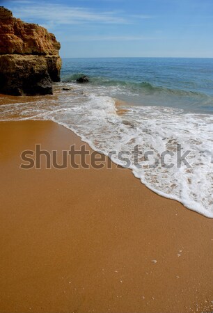 beach Stock photo © zittto