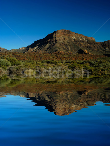 растительность Тенерифе гор искусственный озеро компьютер Сток-фото © zittto