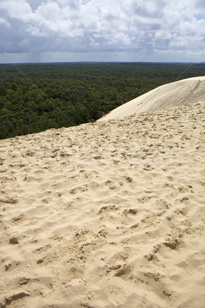 Célèbre dune dune de sable Europe plage ciel [[stock_photo]] © zittto