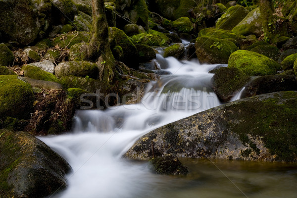 waterfall Stock photo © zittto