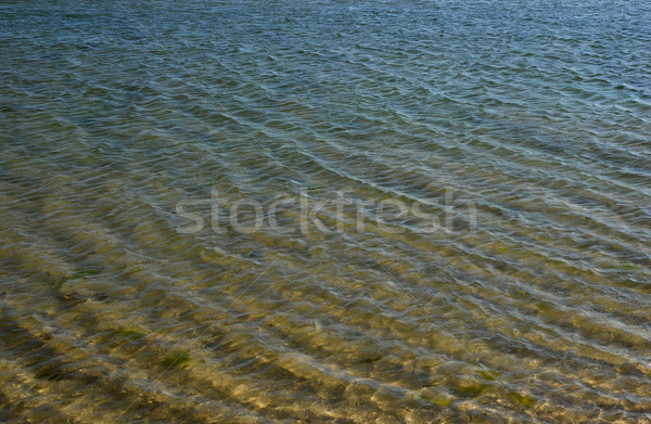 water Stock photo © zittto