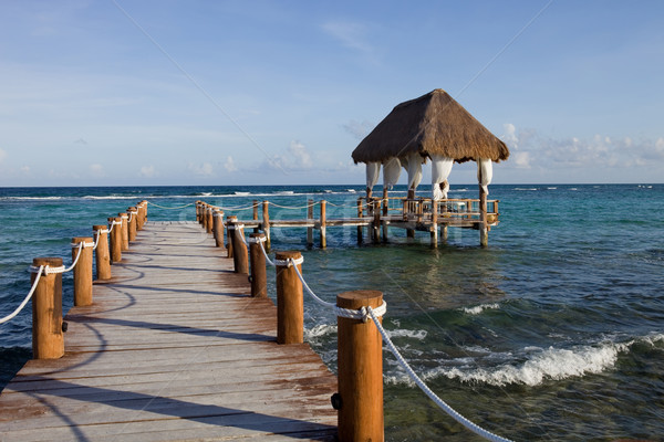 Ahşap dok caribbean deniz yarımada Meksika Stok fotoğraf © zittto