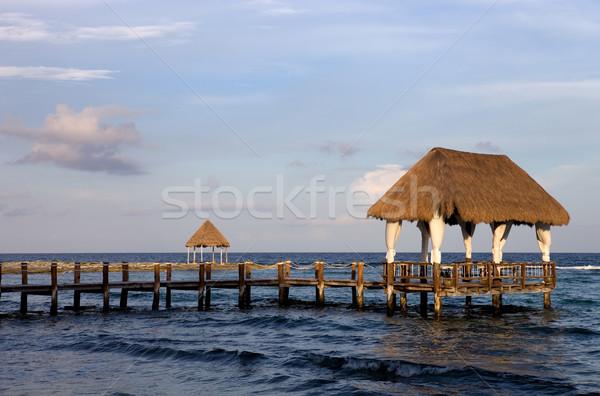 加勒比的 海 木 碼頭 半島 墨西哥 商業照片 © zittto