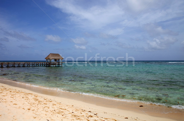 Recorrer doca caribbean mar península Foto stock © zittto