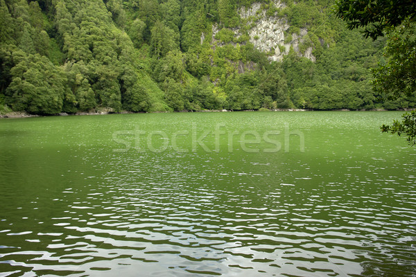 lake Stock photo © zittto