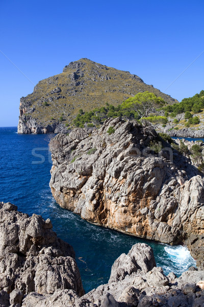 マヨルカ島 地中海 海 海岸 スペイン 山 ストックフォト © zittto