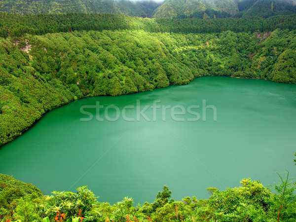 lake Stock photo © zittto
