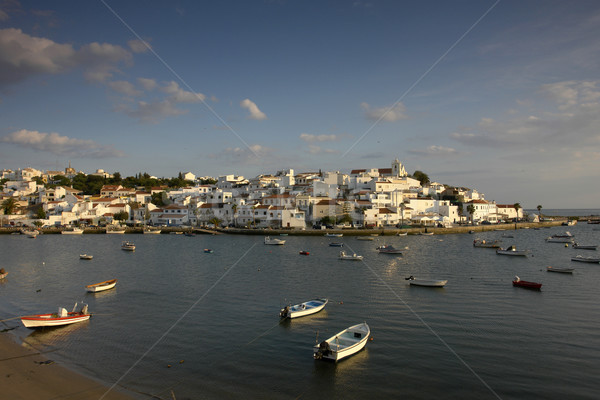 Petite ville Portugal ciel eau Palm [[stock_photo]] © zittto