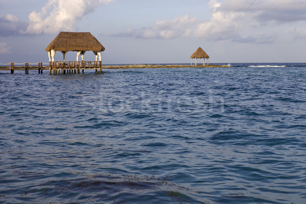 加勒比的 海 木 碼頭 半島 墨西哥 商業照片 © zittto