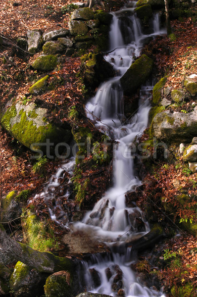 Wodospad rzeki zielone czyste splash bajki Zdjęcia stock © zittto