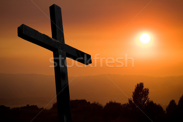 cross Stock photo © zittto