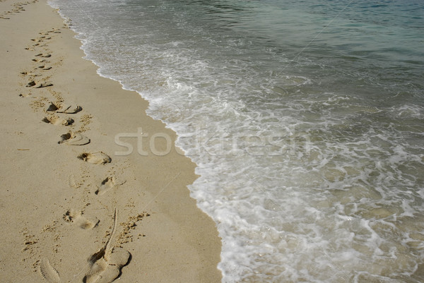 Foto d'archivio: Impronte · sabbia · spiaggia · acqua · natura · verde