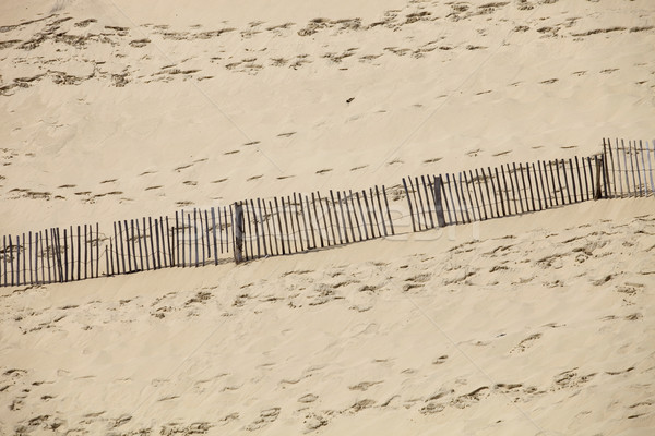 Clôture célèbre dune dune de sable Europe plage [[stock_photo]] © zittto