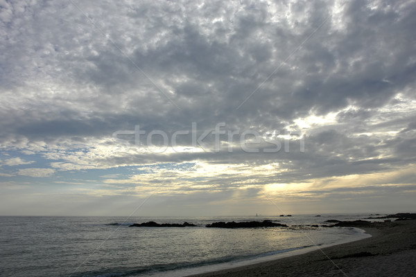 beach Stock photo © zittto