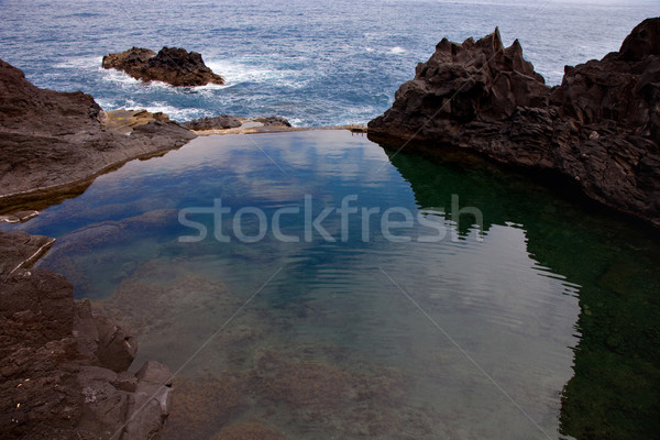 Naturales piscina costa madeira isla Portugal Foto stock © zittto