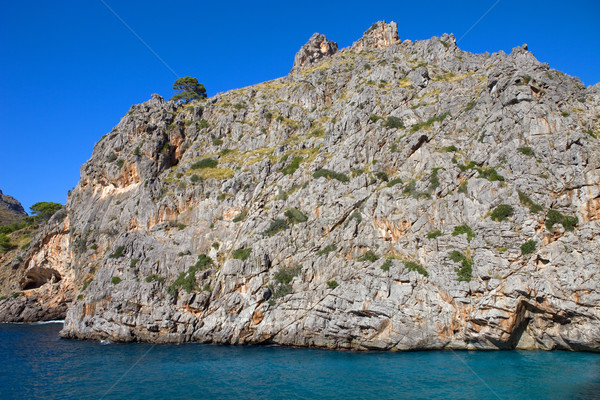 Mallorca mediterrânico mar costa Espanha montanha Foto stock © zittto