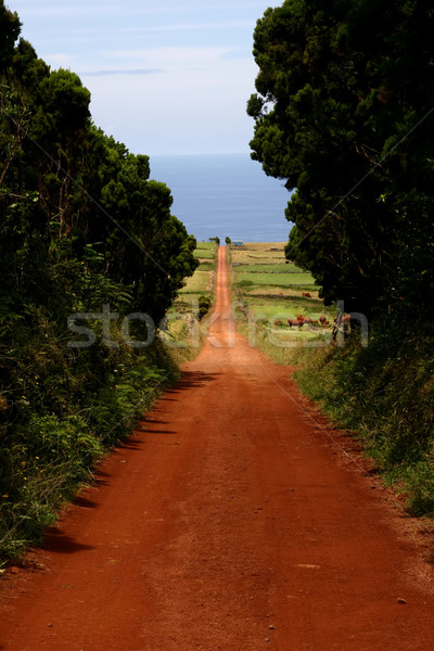 Stockfoto: Weg · groot · Rood · eiland · hemel · natuur