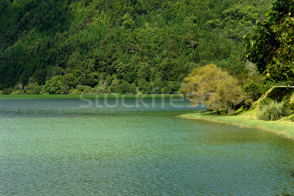 green lake Stock photo © zittto