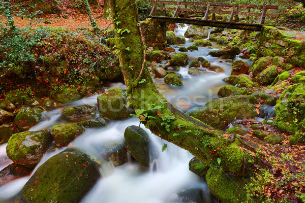 Stockfoto: Rivier · waterval · park · noorden · land · bos