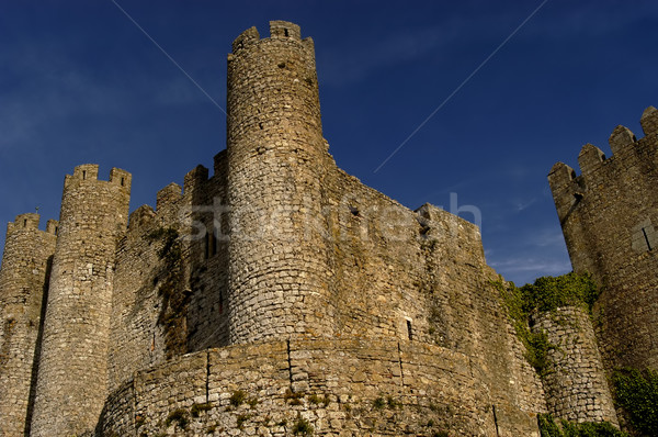 castle Stock photo © zittto