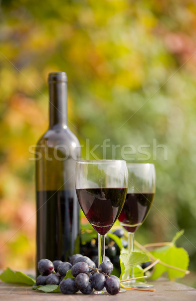 Vino rosso bottiglia di vino uve tavolo in legno outdoor sole Foto d'archivio © zittto