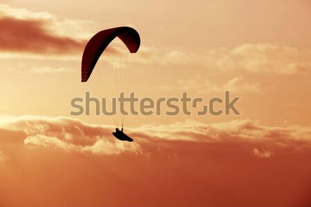 Paragliding Stock photo © zittto