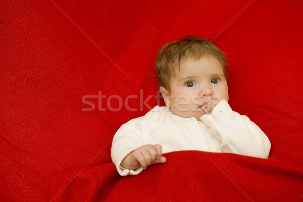 young baby portrait Stock photo © zittto