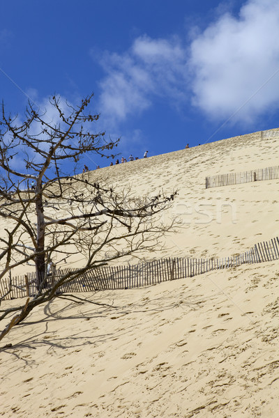 France août personnes célèbre dune dune de sable [[stock_photo]] © zittto