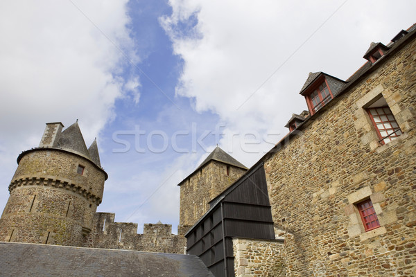 Fougeres Stock photo © zittto