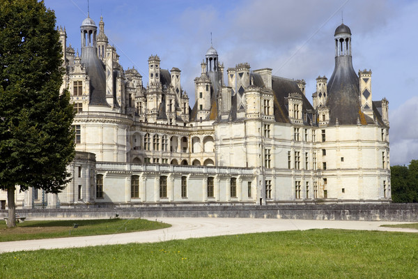 chambord Stock photo © zittto