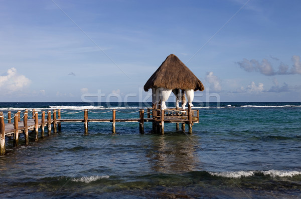 碼頭 木 碼頭 加勒比的 海 半島 商業照片 © zittto