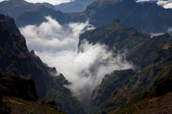 ストックフォト: 山 · マデイラ · 島 · 雲 · ツリー