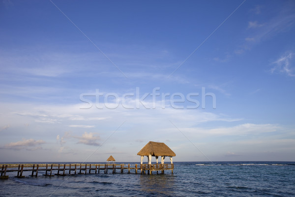 Mexikó tengerpart fából készült dokk Karib tenger Stock fotó © zittto