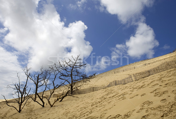 Pyla Sur Mer Stock photo © zittto