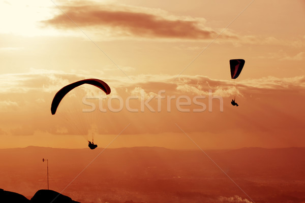 Paragliding Stock photo © zittto