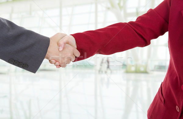 handshake Stock photo © zittto