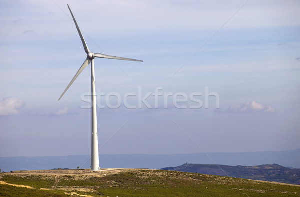 Turbina eólica branco topo montanha natureza verde Foto stock © zittto